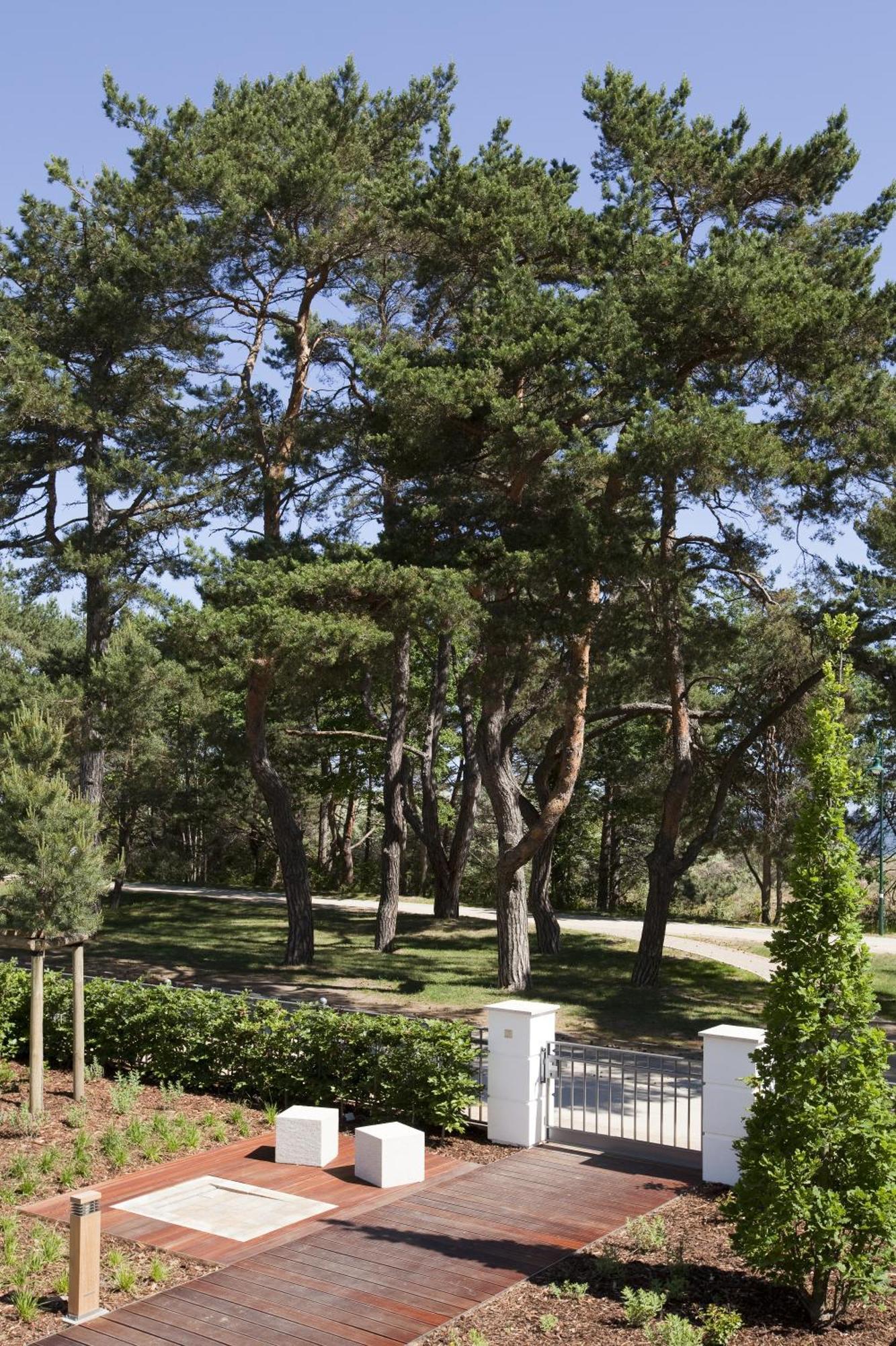 Steigenberger Grandhotel & Spa Heringsdorf Екстер'єр фото Pines in the park